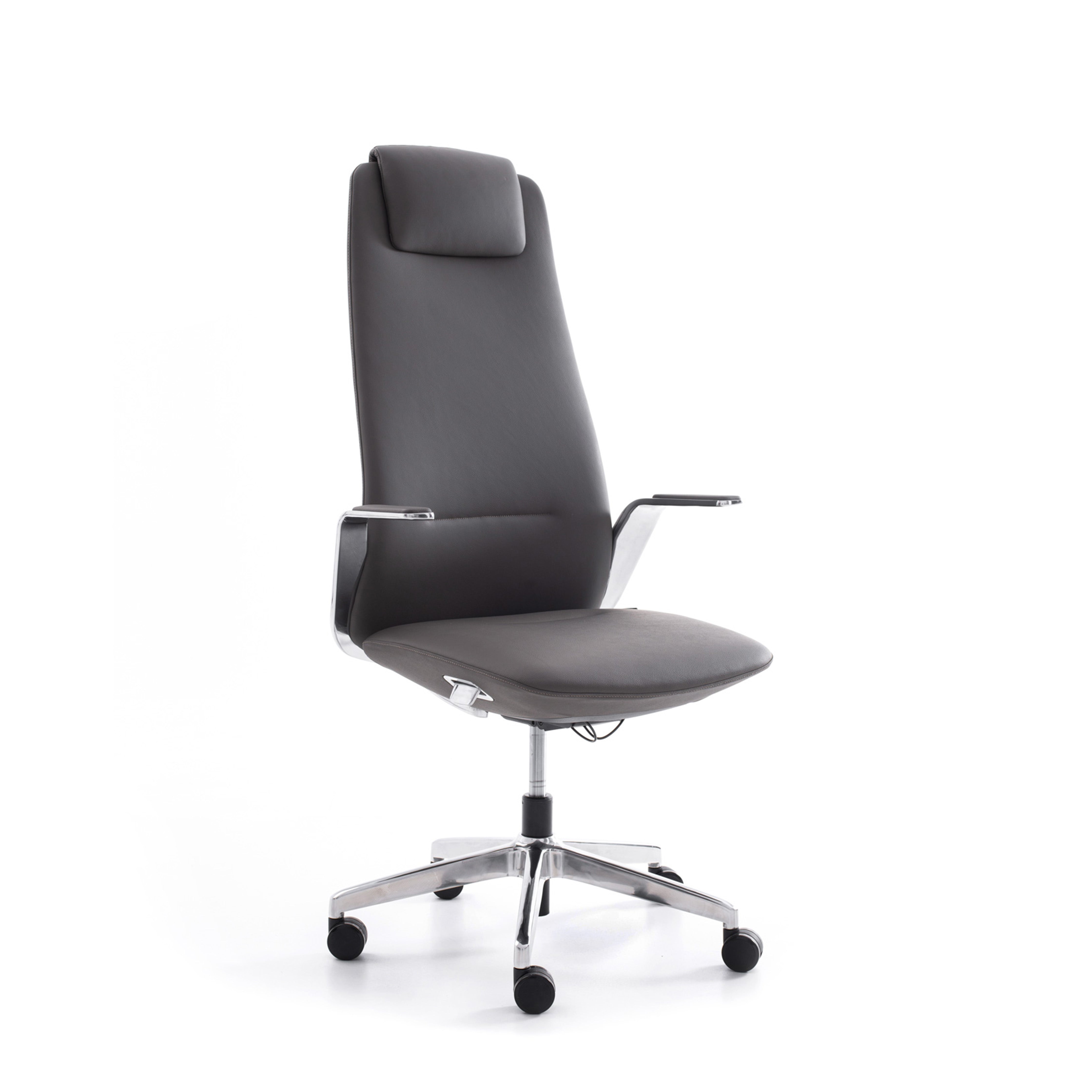 Linea (Me shpinë të lartë)