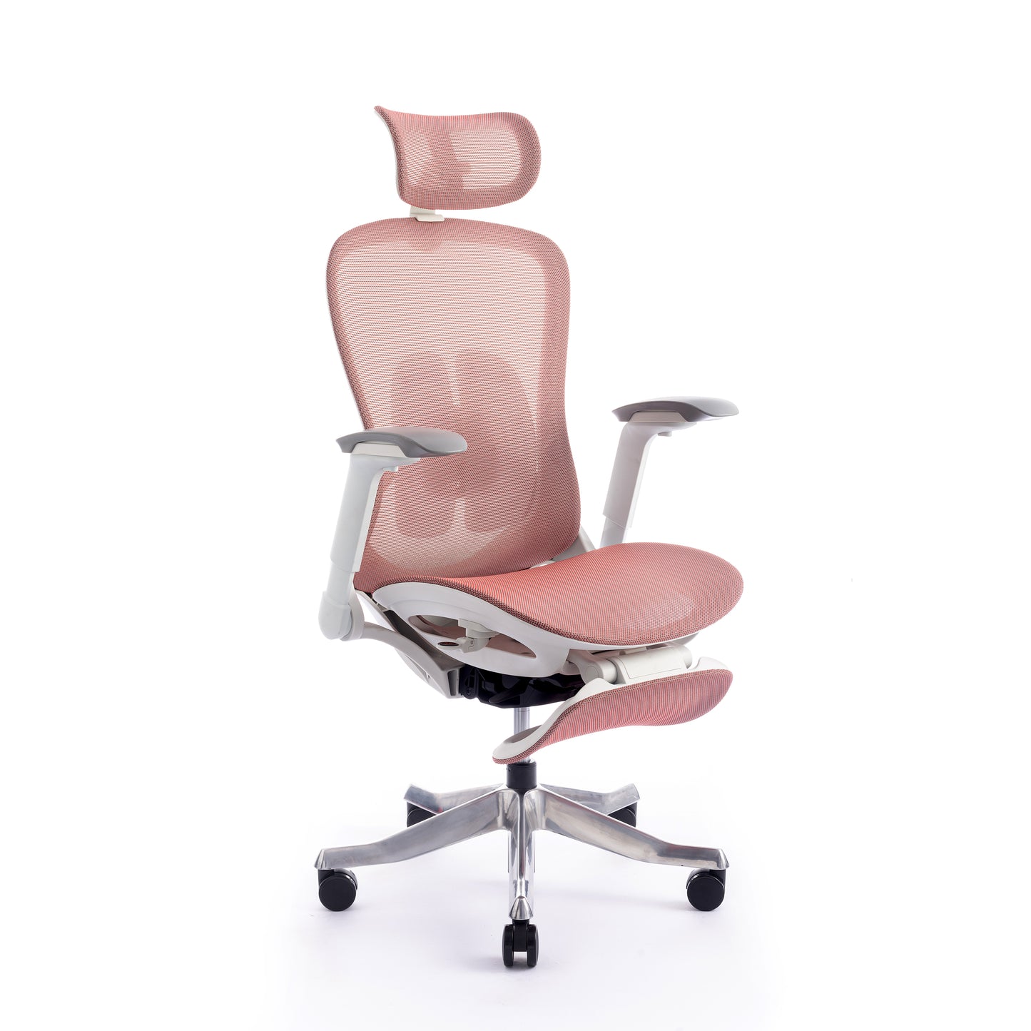 Karrige supervizore Sammy