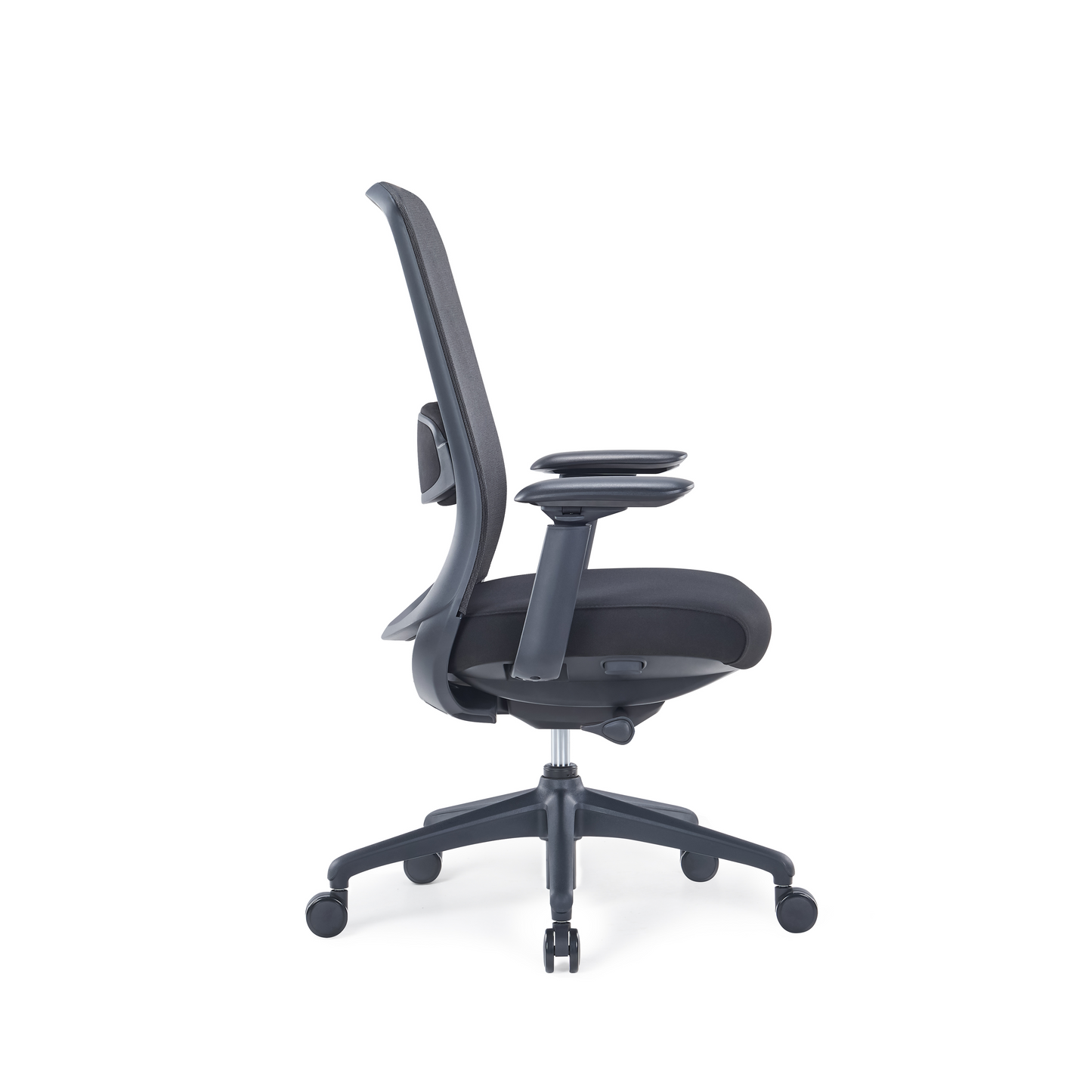 Serra Low Back - Bellucci & Ross