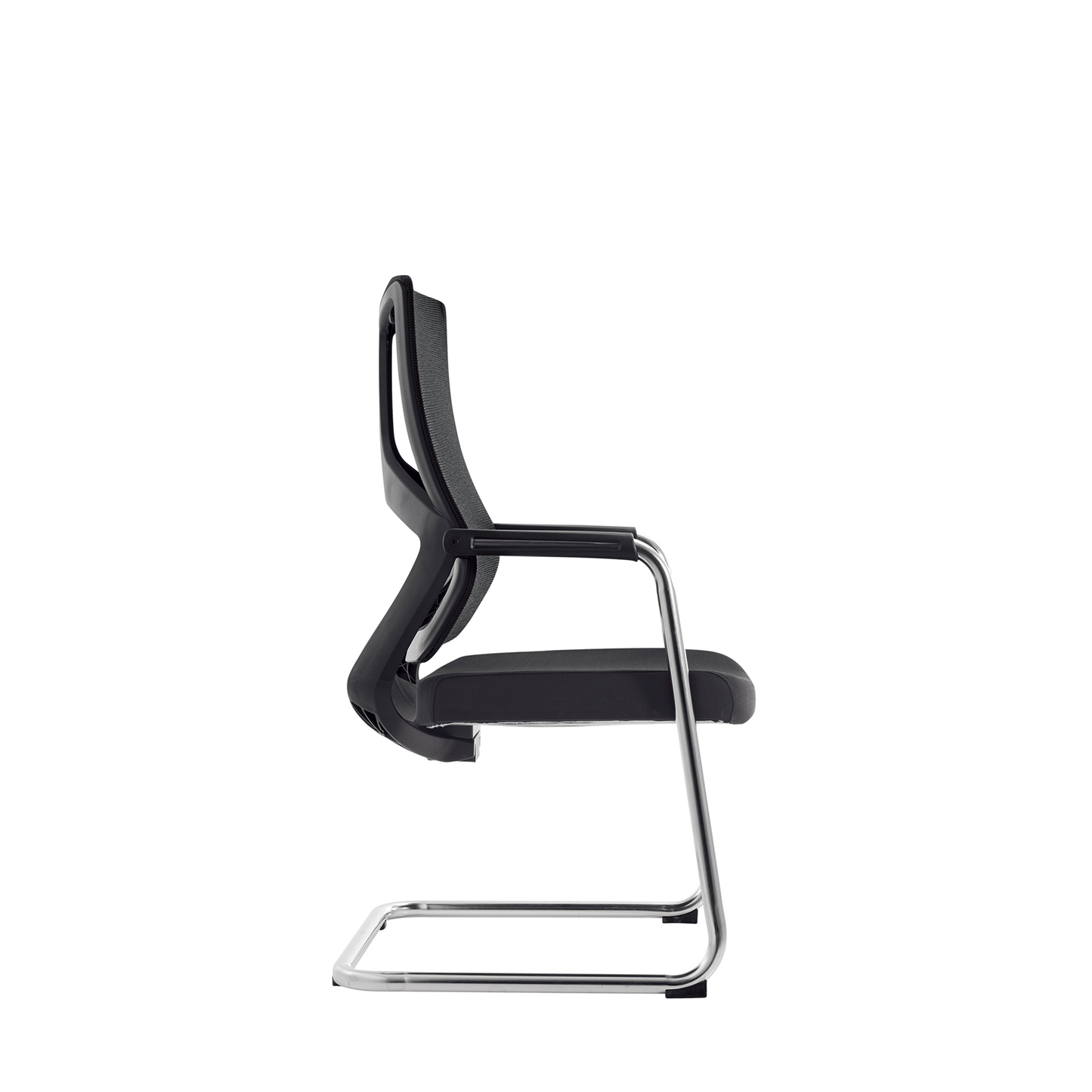 Karrige konference Shad