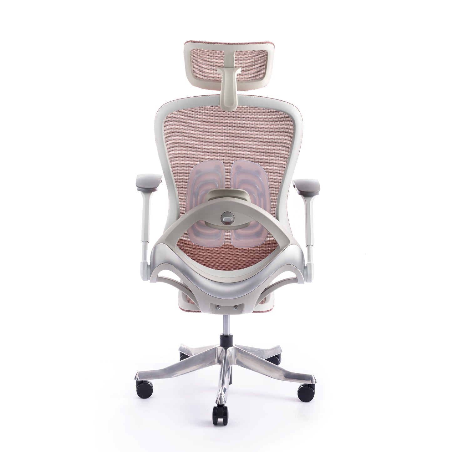 Karrige supervizore Sammy