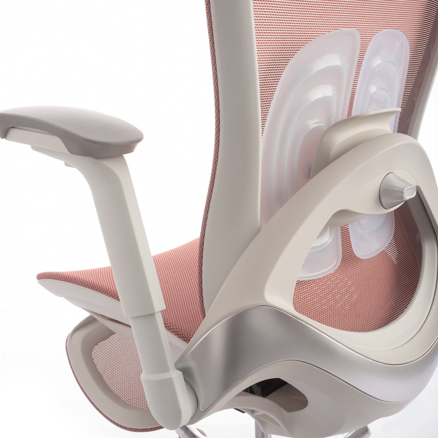 Karrige supervizore Sammy