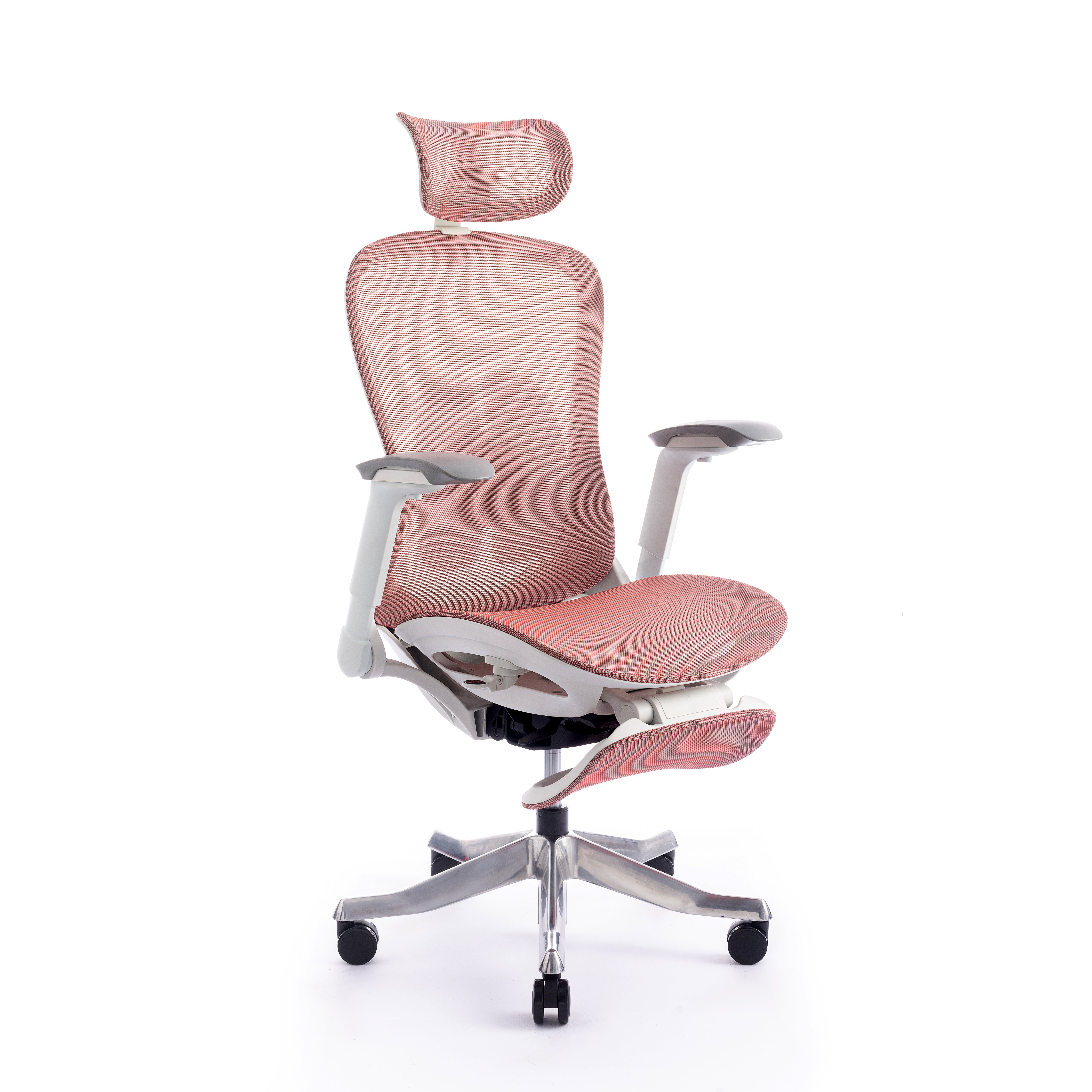 Karrige supervizore Sammy