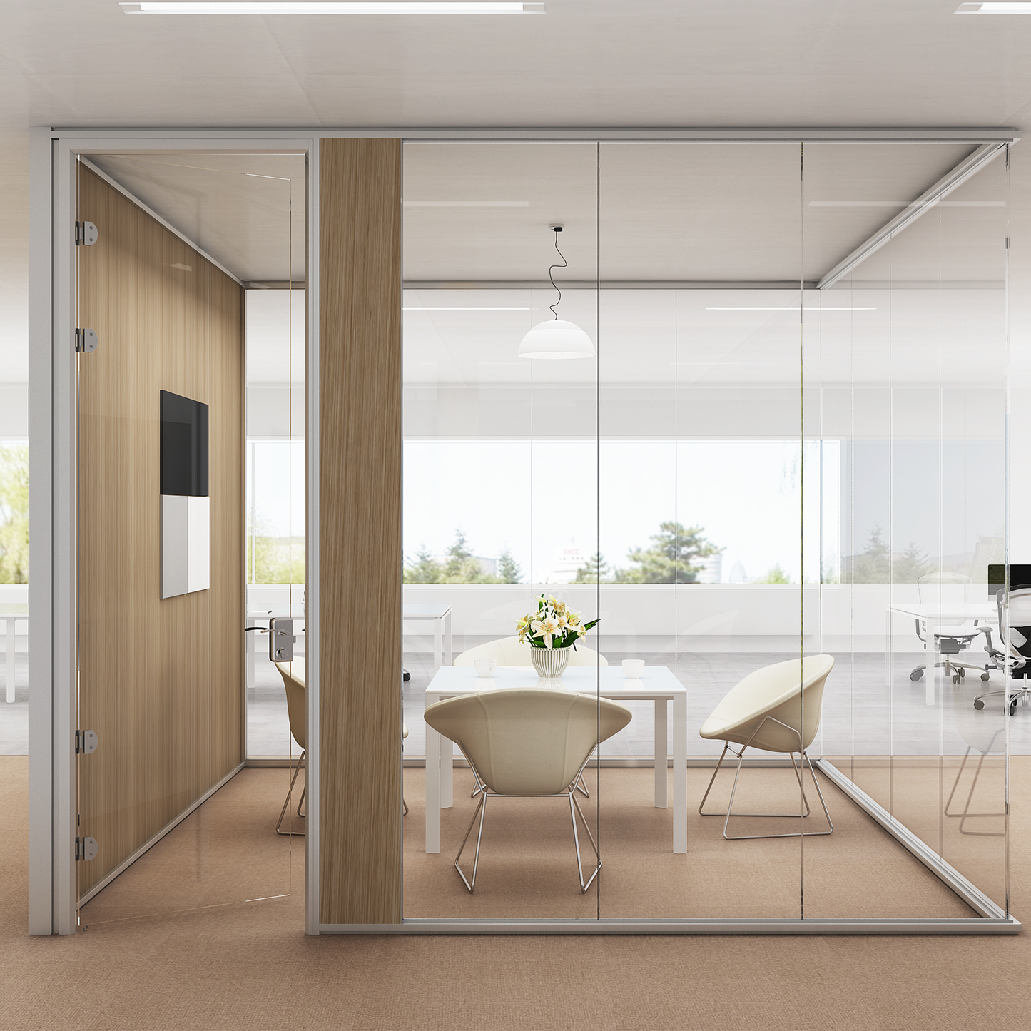 Single Frameless Glass Partition